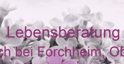 Lebensberatung Röttenbach bei Forchheim, Oberfranken | Top-Experten für Kartenlegen, Wahrsagen, Hellsehen, Zukunftsdeutung. Lebensberatung Röttenbach bei Forchheim, Oberfranken | Top-Experten für Kartenlegen, Wahrsagen, Hellsehen, Zukunftsdeutung.